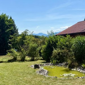 Garten mit Teich