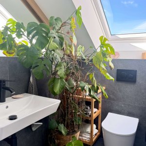 Das Gäste-WC