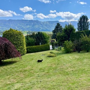 Blick in den Garten