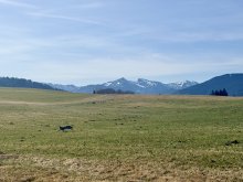 Die angrenzenden Wiesen mit Blick